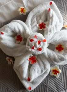 Draken-Zicht Cottage